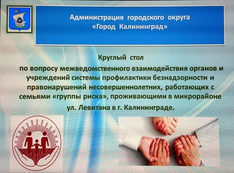 Круглый стол по вопросу межведомственного взаимодействия органов и учреждений системы профилактики безнадзорности и правонарушений несовершеннолетних, работающих с семьями «группы риска», проживающими в микрорайоне ул. Левитана в г. Калининграде