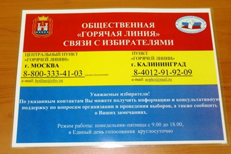 В Общественной палате работает «горячая линия» в помощь избирателям