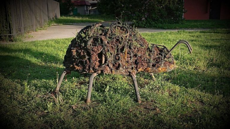 Жалоба получена. Меры профилактики от клещевого энцефалита в поликлинике Правдинской центральной районной больницы приняты