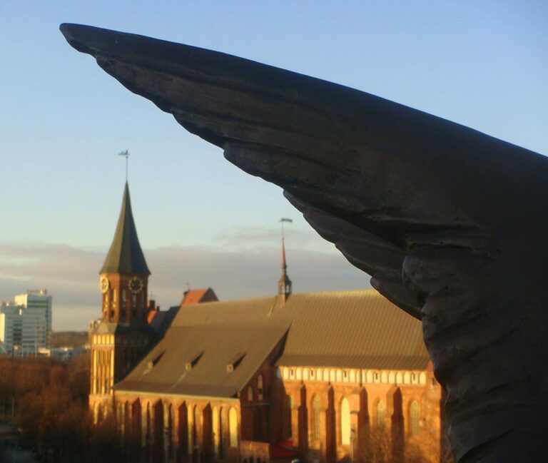 Подача заявлений на меры социальной поддержки в период действия режима самоизоляции