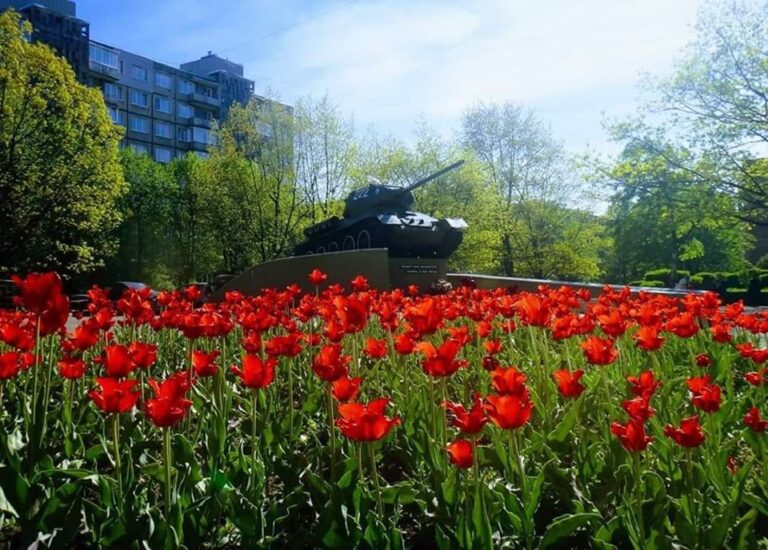 В Калининградской области с ограничениями открываются торговые центры и парикмахерские