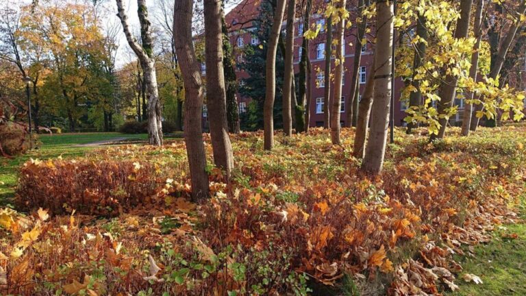 Для семей мобилизованных жителей области изменился порядок назначения ряда социальных выплат