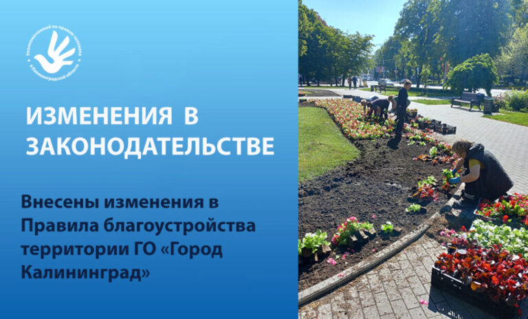 Изменения в региональном законодательстве