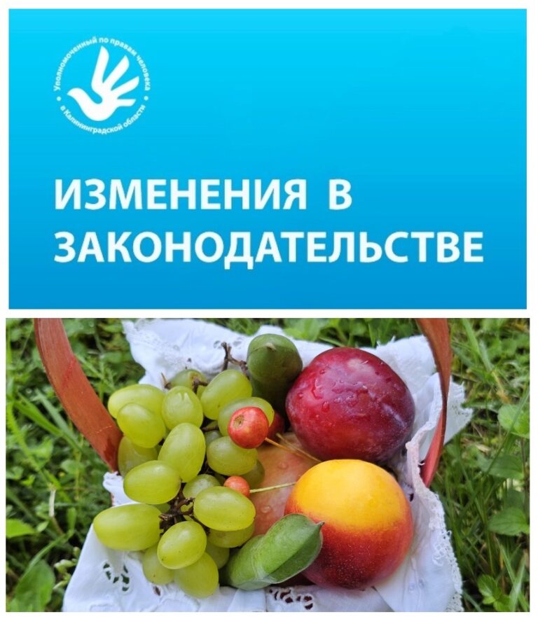 Внесены поправки в законодательство в сфере регулирования вопросов ведения гражданами садоводства и огородничества
