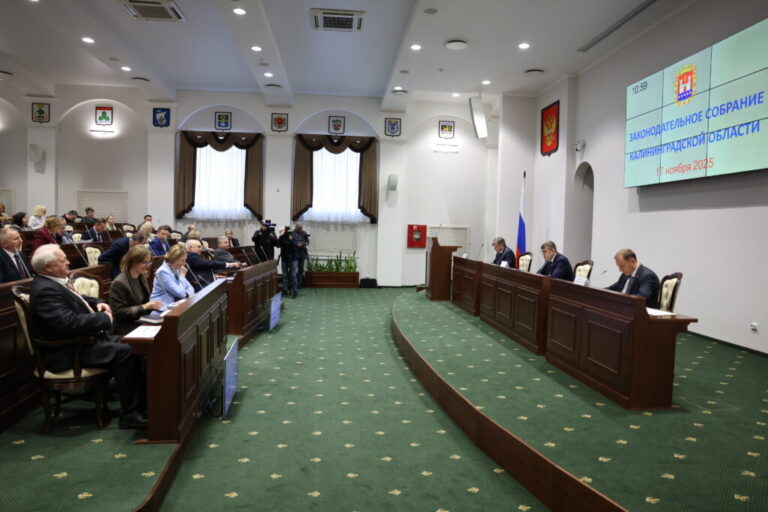 Уполномоченный по правам человека принял участие в публичных слушаниях по проекту областного бюджета