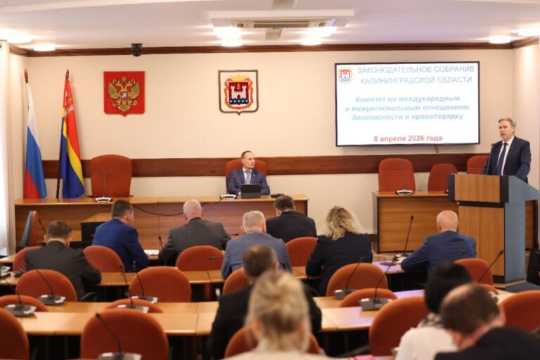 Ежегодный доклад о деятельности Уполномоченного по правам человека в Калининградской области представлен депутатам профильного комитета Заксобрания